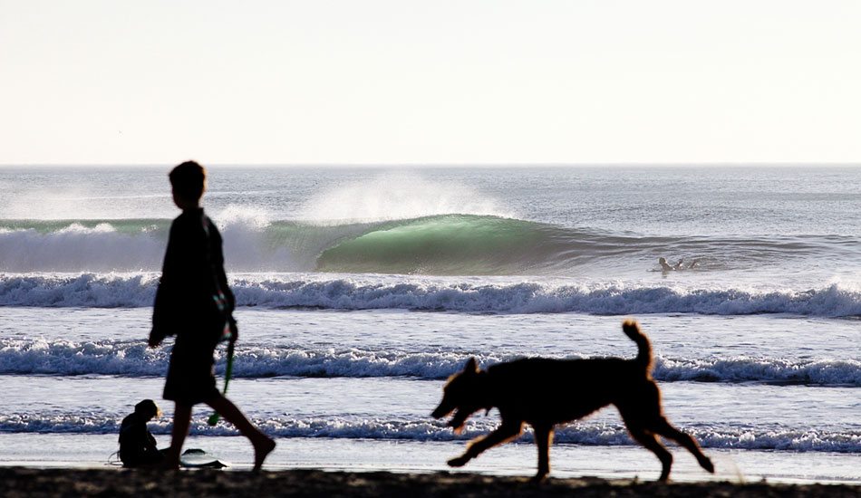 On an evening with beautiful weather this beach brings hoards of dogs and their owners to the beach. As I was shooting some lineups I was being constantly bombarded by slobbering tongues while navigating the dog beach. When this kid walked in front of me with his furry friend I thought he had ruined the shot, but ended up making it all the better. Photo: <a href= \"https://molyneuxphoto.com/\">Jean Paul Molyneux</a>