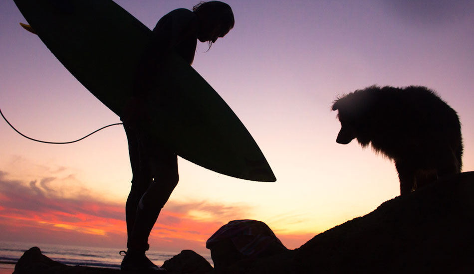 From the water you could see Ginger sitting among the rocks watching each of us take wave after wave. Eric Soderquist greets Ginger as the last of the days light fades away. Not many dogs are willing to sit patiently as their owner scores an evening surf. Photo: <a href= \"https://molyneuxphoto.com/\">Jean Paul Molyneux</a>