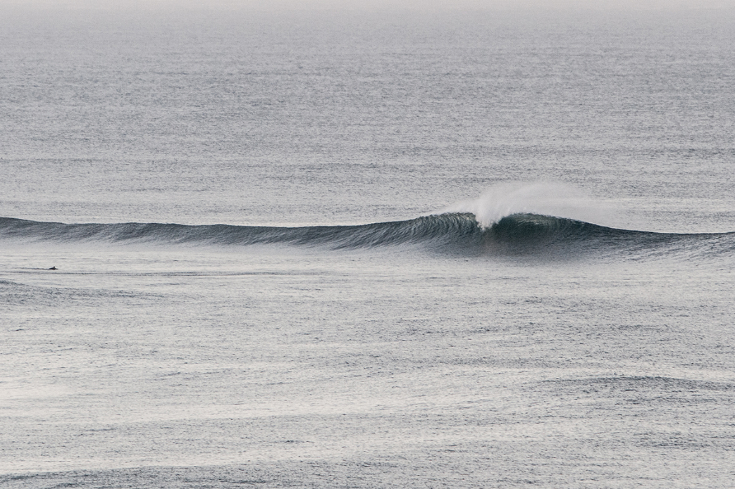 Photo: <a href=\"https://www.jonsteelephoto.com/\">Jon Steele</a>