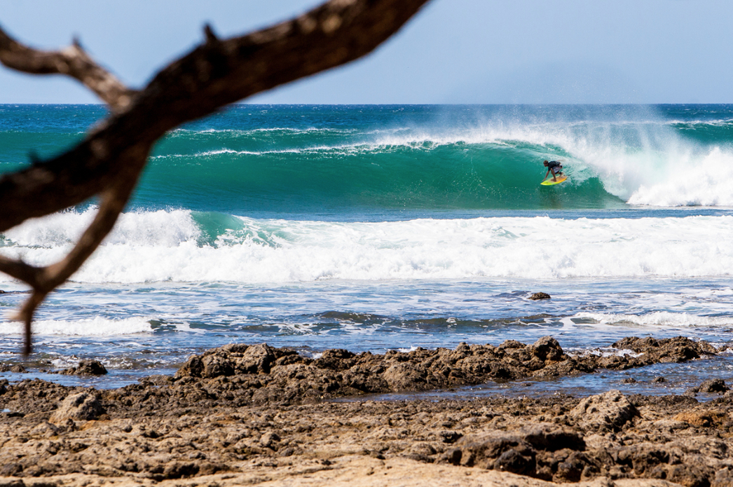 Photo: <a href=\"https://www.jonsteelephoto.com/\">Jon Steele</a>