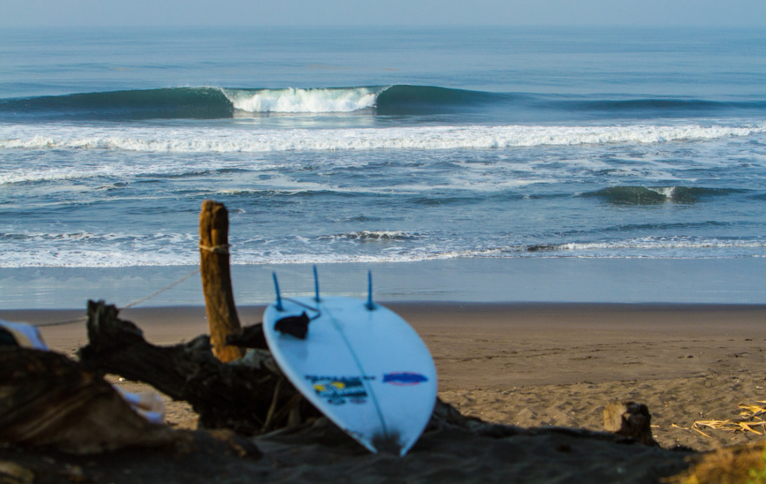 Photo: <a href=\"https://www.jonsteelephoto.com/\">Jon Steele</a>