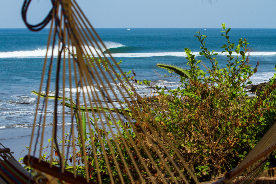 Photo: <a href=\"https://www.jonsteelephoto.com/\">Jon Steele</a>