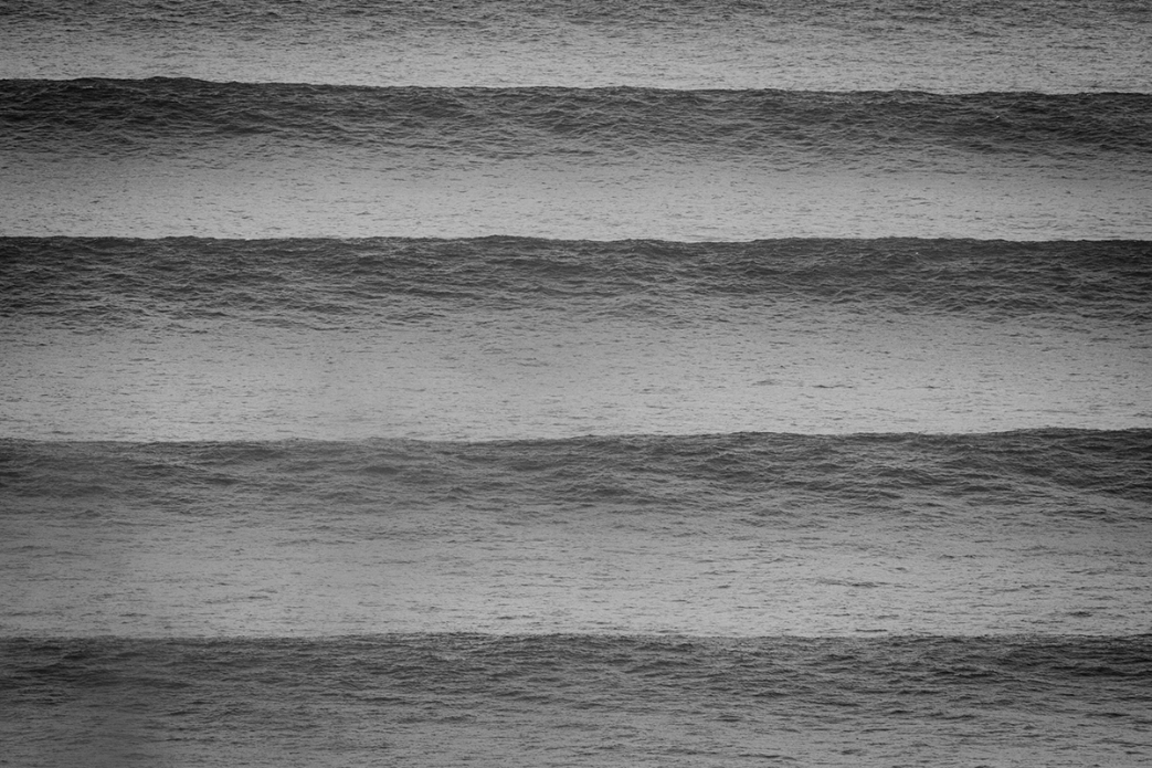 Photo: <a href=\"https://www.jonsteelephoto.com/\">Jon Steele</a>