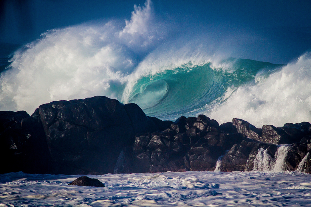 Photo: <a href=\"https://www.jonsteelephoto.com/\">Jon Steele</a>