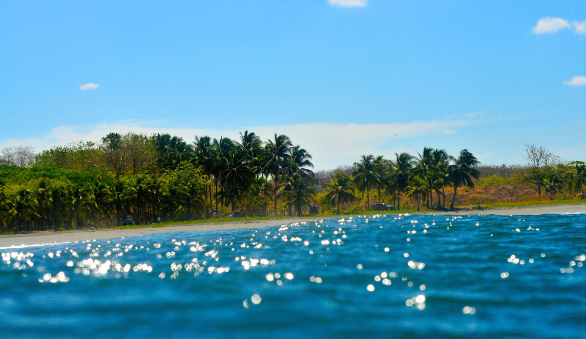 Between sets everybody got caught staring into the beautiful jungle. Photo: <a href=\"https://jonathanwatsonphotography.com/#/page/home/\">Jonathan Watson</a>
