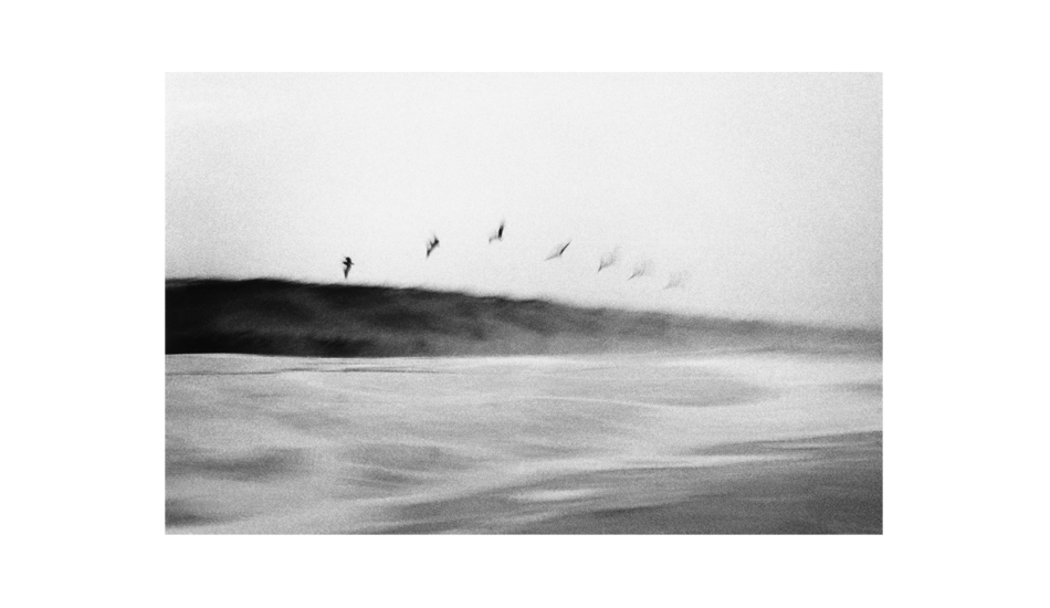 Image: <a href=\"https://3oceans.com/\" target=\"_blank\">Jonsson</a>