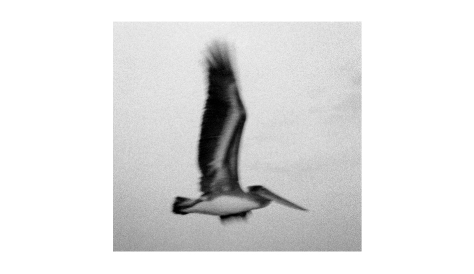 Image: <a href=\"https://3oceans.com/\" target=\"_blank\">Jonsson</a>