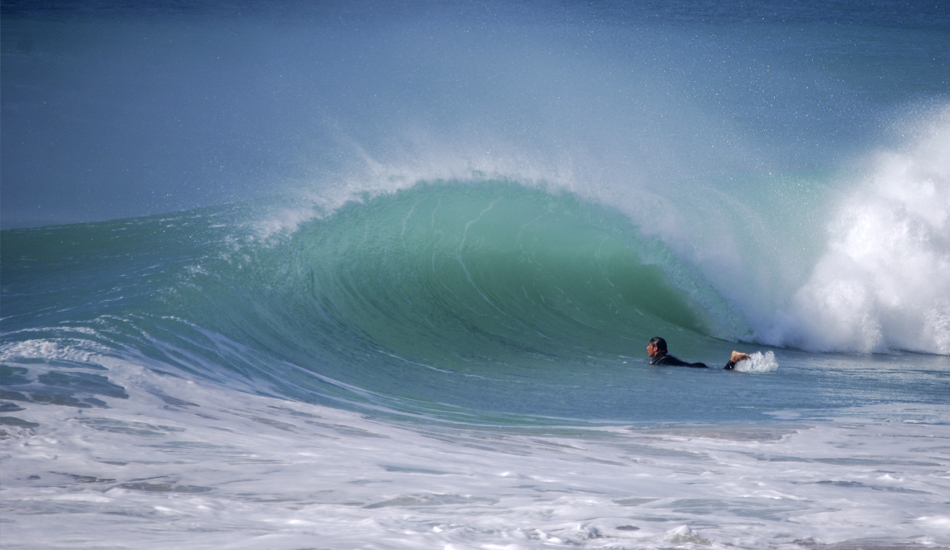 Perfectly rounded. Photo: <a href=\"https://www.jorgeibáñez.com\"> Jorge Ibáñez</a>