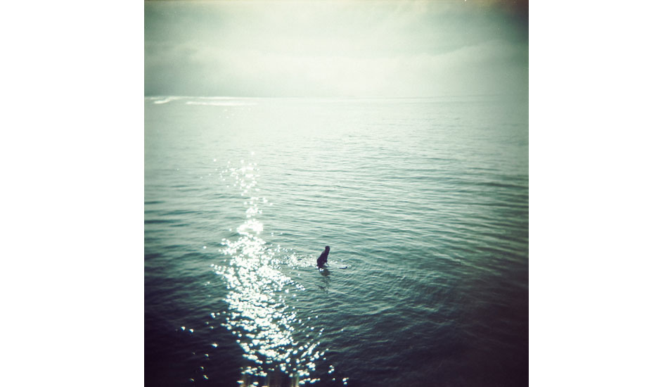 Photo: <a href=\"https://joshsoskin.com/\">Josh Soskin</a>