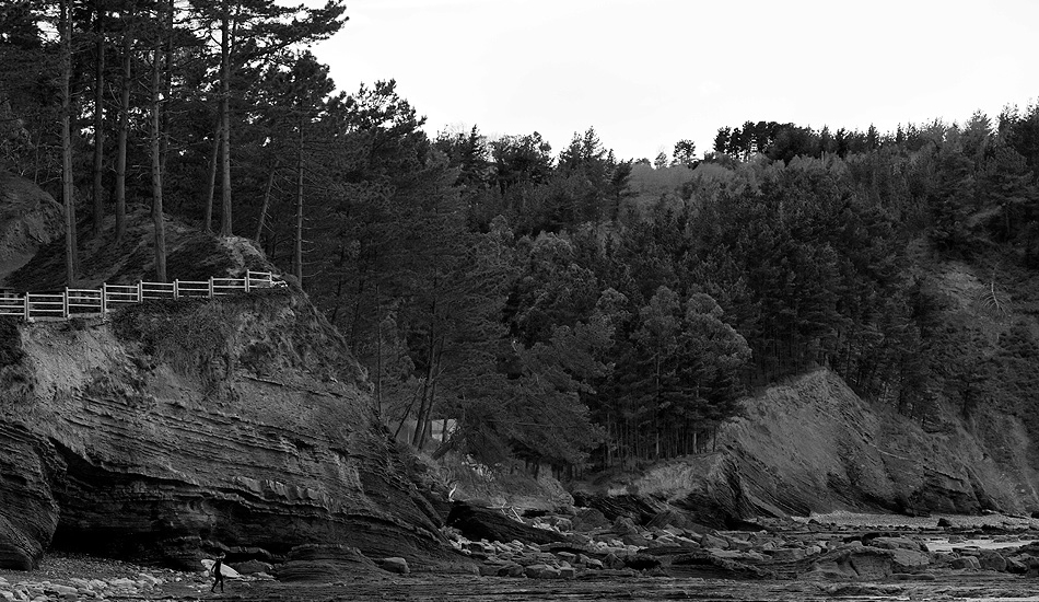 Century trees along basque country coastline. Ogeia, Spain. Image: <a href=\"https://juanfernandezfotografo.com/\" target=\"_blank\">Fernandez</a>
