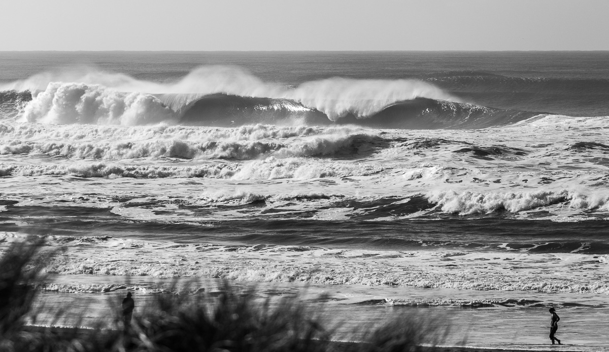 Photo: <a href=\"https://www.julien-bacal.com\">Julien Bacal</a>