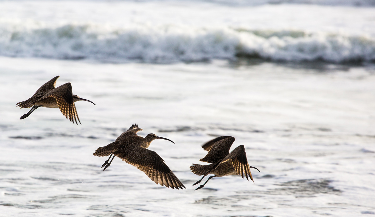 Photo: <a href=\"https://www.julien-bacal.com\">Julien Bacal</a>