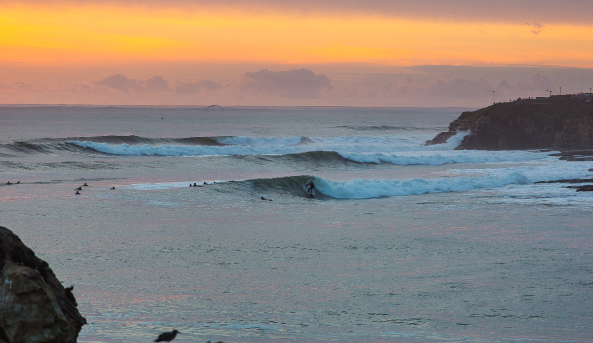 Photo: <a href=\"https://www.julien-bacal.com\">Julien Bacal</a>