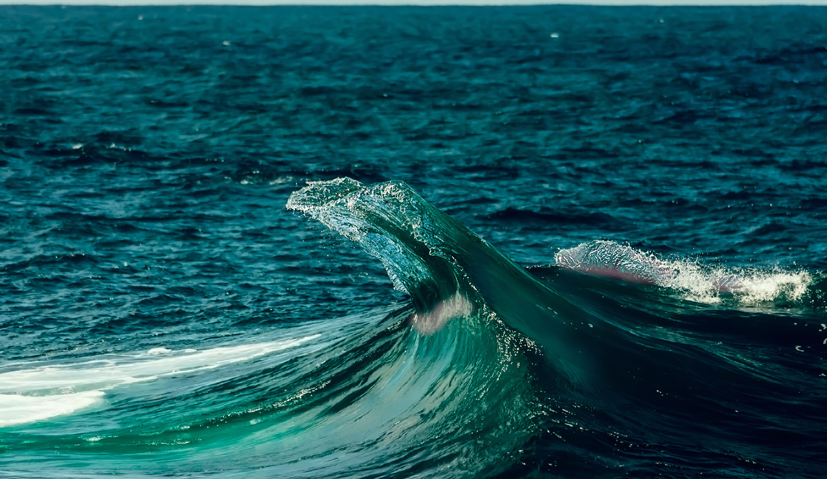 Photo: <a href=\"https://www.chrisdixonphoto.com\">Chris Dixon</a>