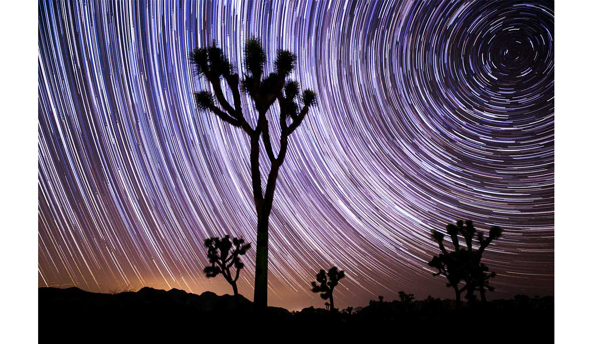 The beauty of Joshua Tree. Photo: <a href=\"http://jungphoto.com/\">Justin Jung</a>
