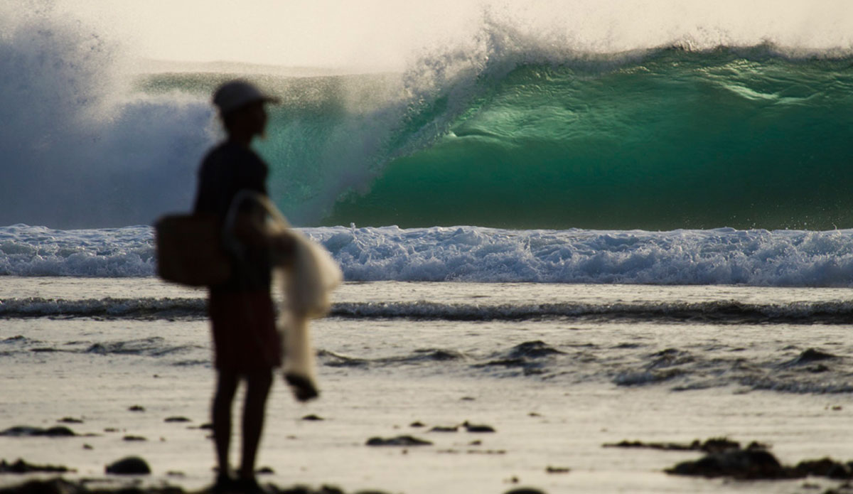 Chunky little monster. Photo: <a href=\"https://www.justinrayboun.com/\"> Justin Rayboun</a>