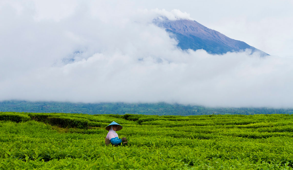 Mt. Kerinci Sumatra. Photo: <a href=\"https://www.justinrayboun.com/\"> Justin Rayboun</a>
