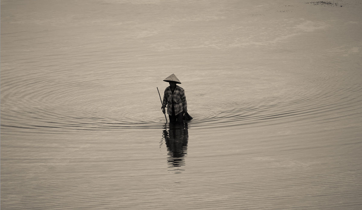 Reef walker. Photo: <a href=\"https://www.justinrayboun.com/\"> Justin Rayboun</a>