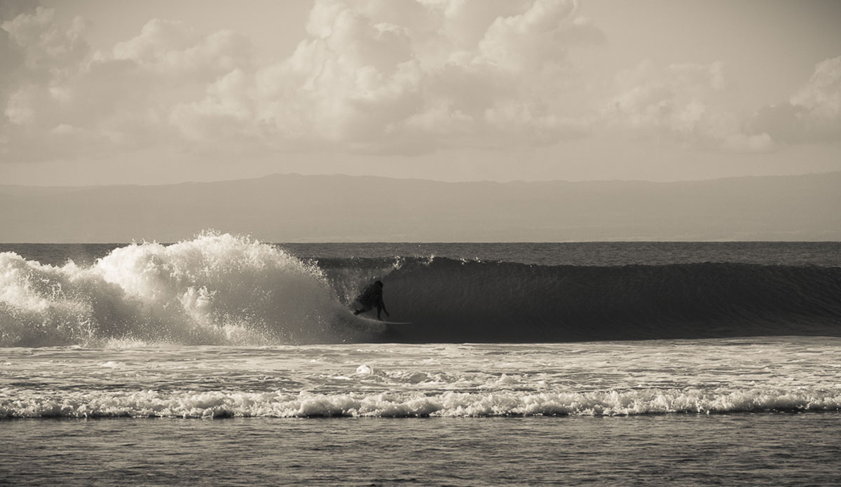 Tucked in neatly. Photo: <a href=\"https://www.justinrayboun.com/\"> Justin Rayboun</a>