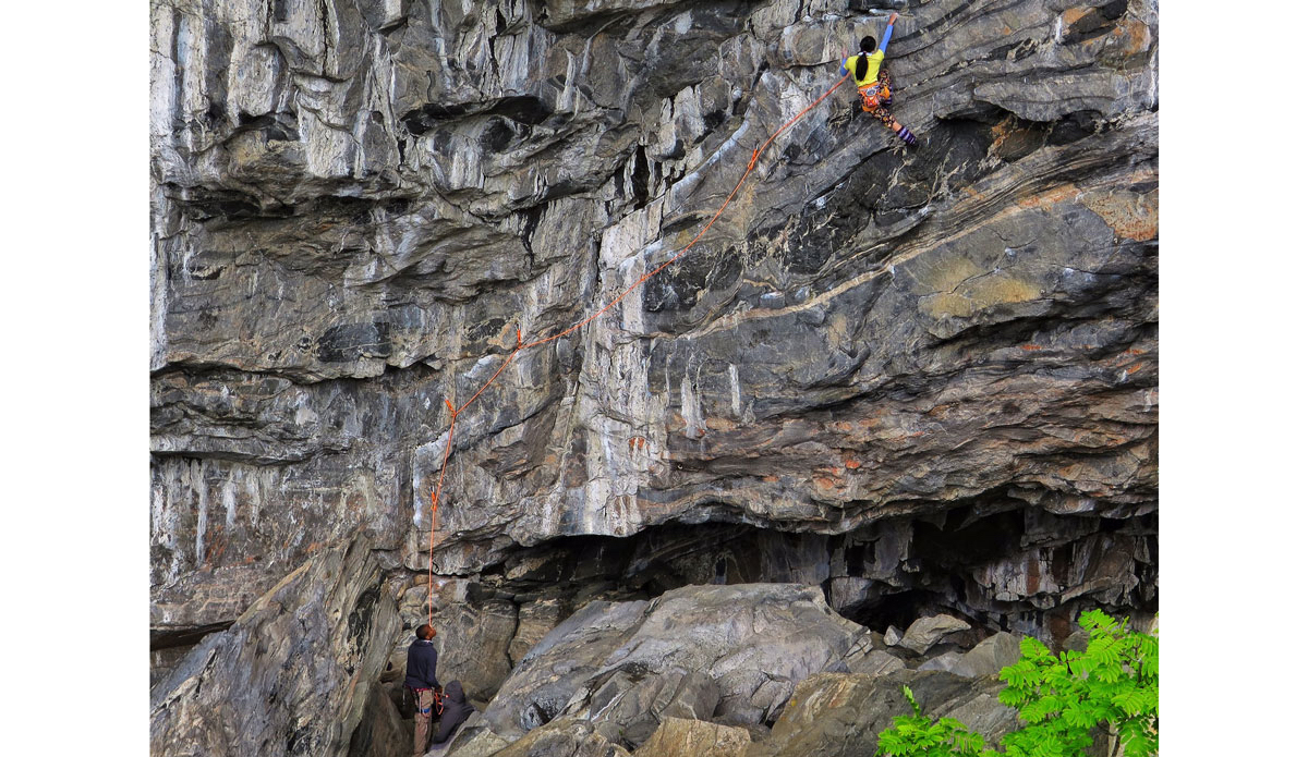 Photo: <a />Bryan Cole</a>