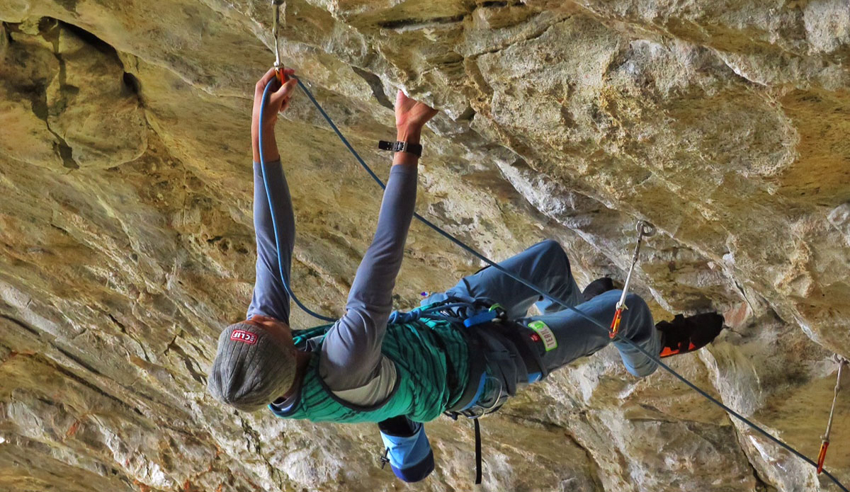 Photo: <a />Bryan Cole</a>