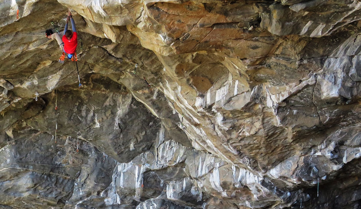 Photo: <a />Bryan Cole</a>