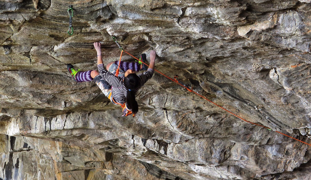 Photo: <a />Bryan Cole</a>