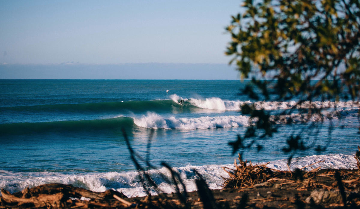  Photo: <a href=\"https://www.jdsmit.co.nz\">Jono Smit</a>