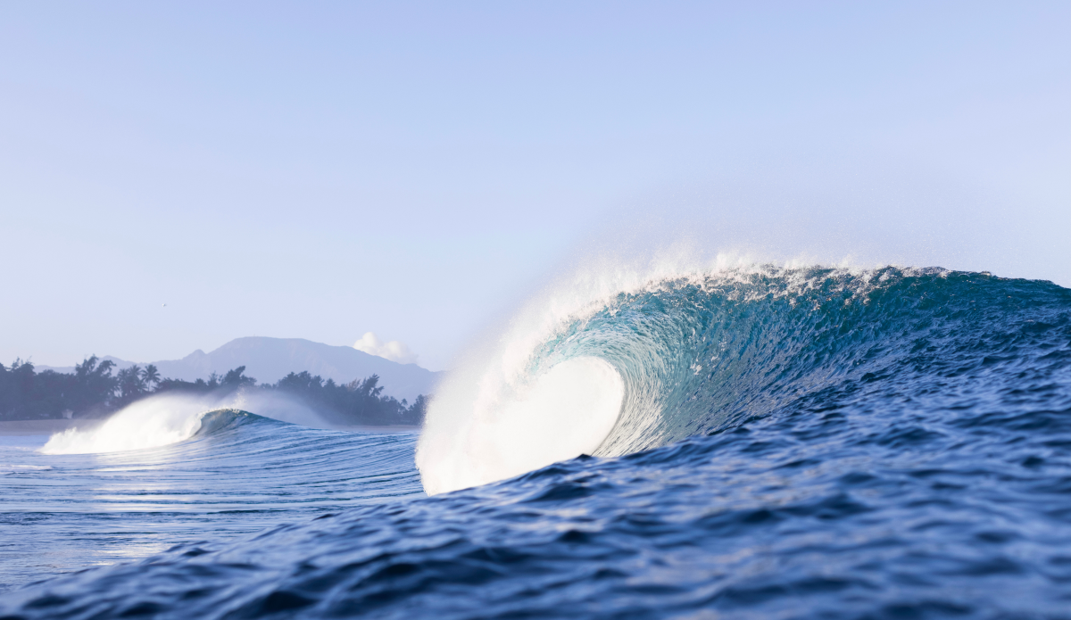 Photo: Kalani Cummins