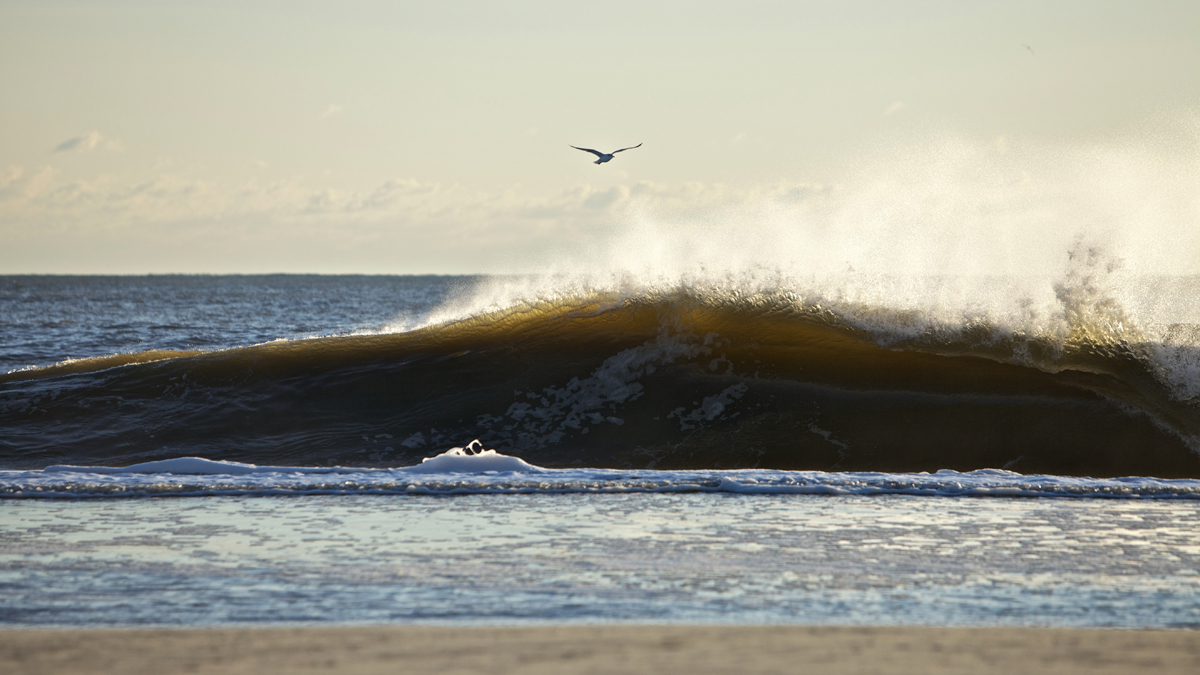 Morning light on an empty, springtime grinder along the home sand bar. Get your coffee. 