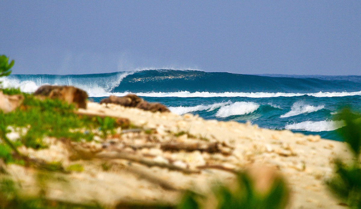 You\'d sleep in the dirt for this wave, wouldn\'t you? Well, you don\'t have to.