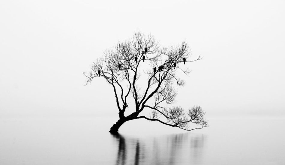 Silence, Lake Wanaka. Photo: <a href=\"https://www.kanebrownphoto.com/#1\">Kane Brown</a>