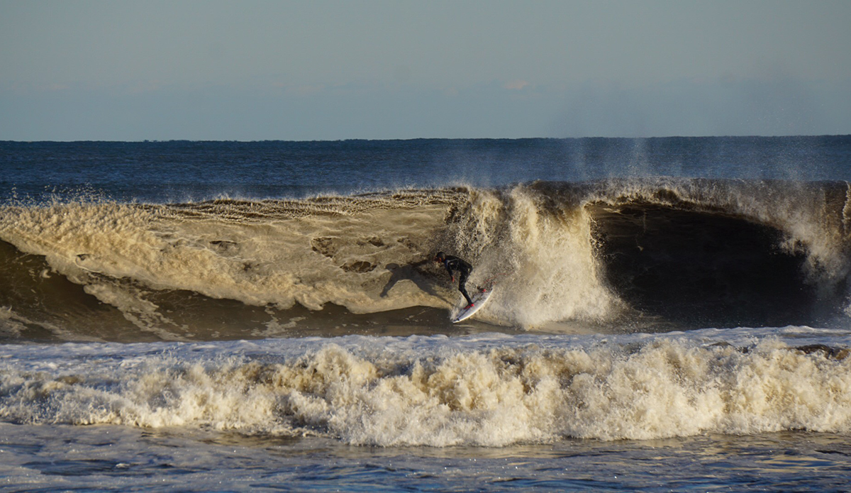 Photo: Michael DiCarlo