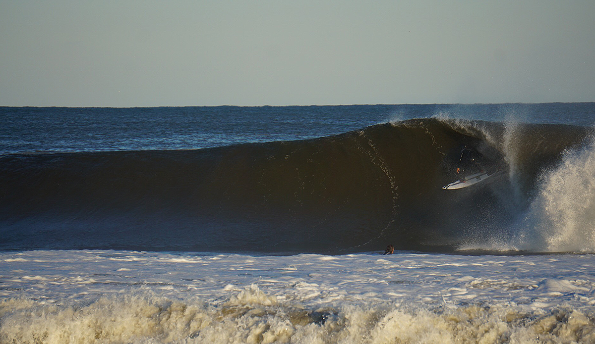 Photo: Michael DiCarlo