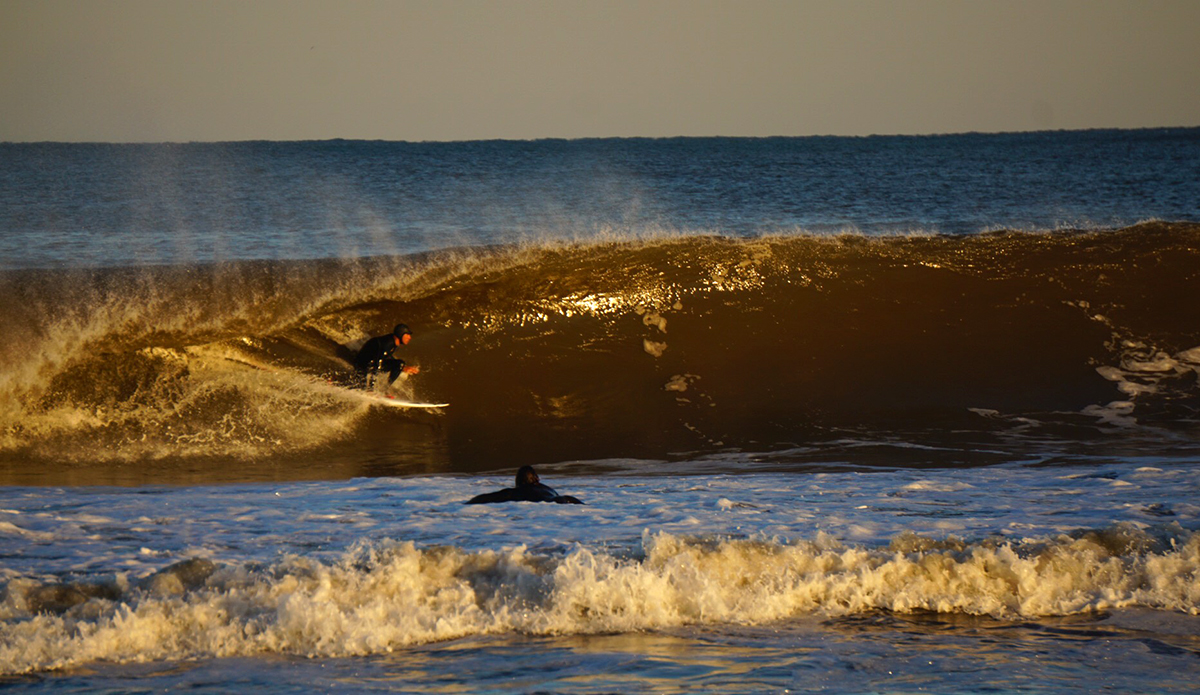 Photo: Michael DiCarlo