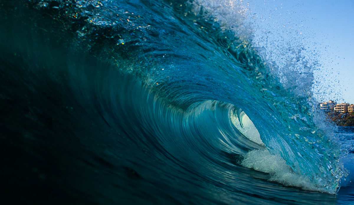 Blue tubes. Photo: Kieran Tunbridge