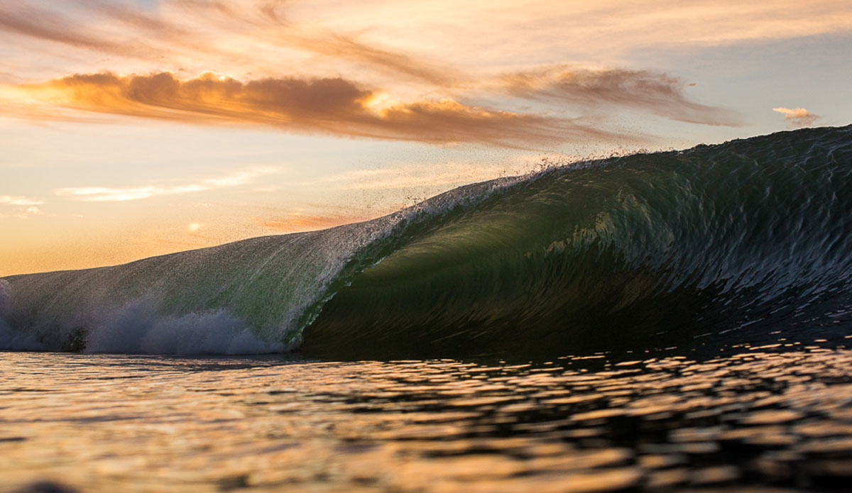 Brassy tube. Photo: Kieran Tunbridge