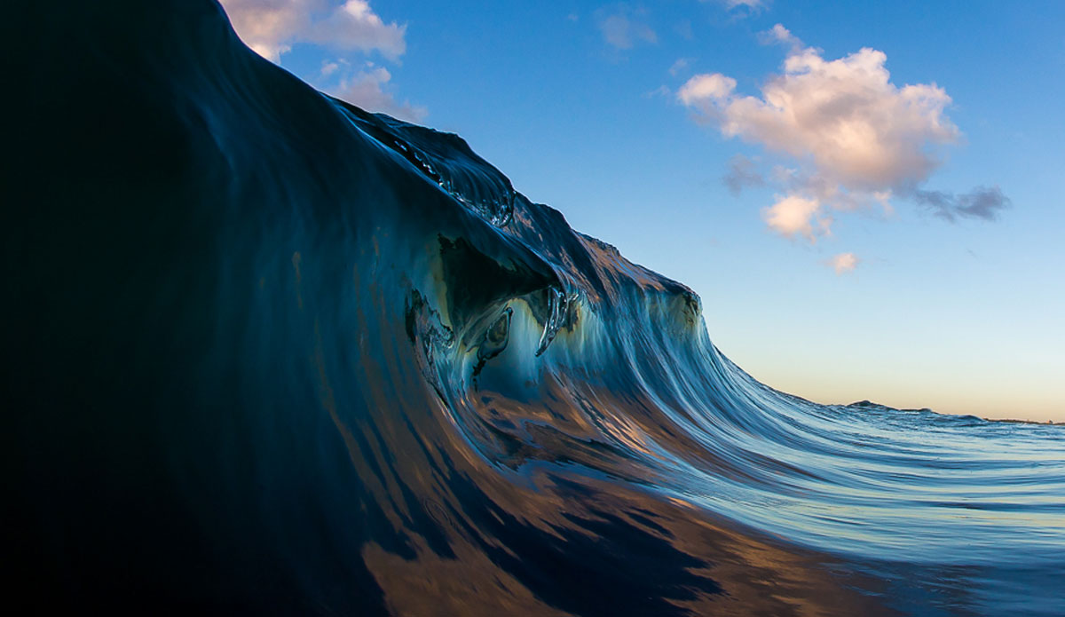 Glass tooth. Photo: Kieran Tunbridge