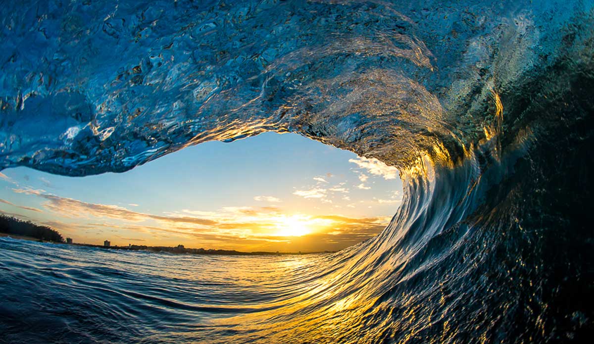 Golden eye. Photo: Kieran Tunbridge