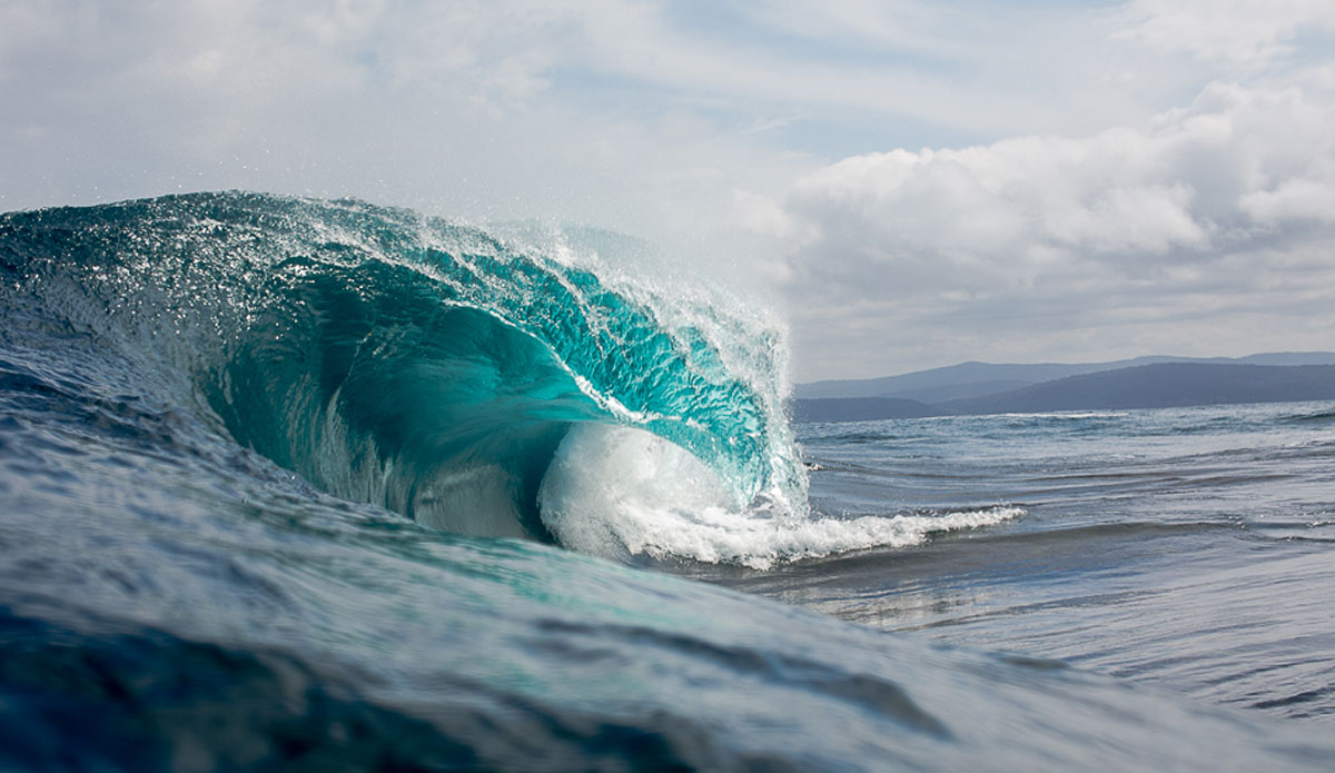 Nugget. Photo: Kieran Tunbridge