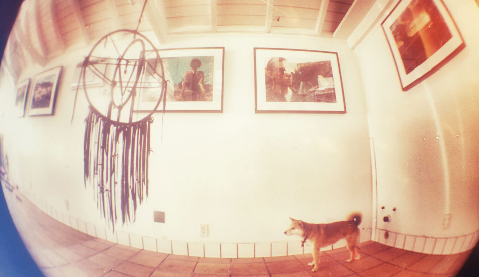 Kassia Meador double exposures and dream catcher with fox dog.