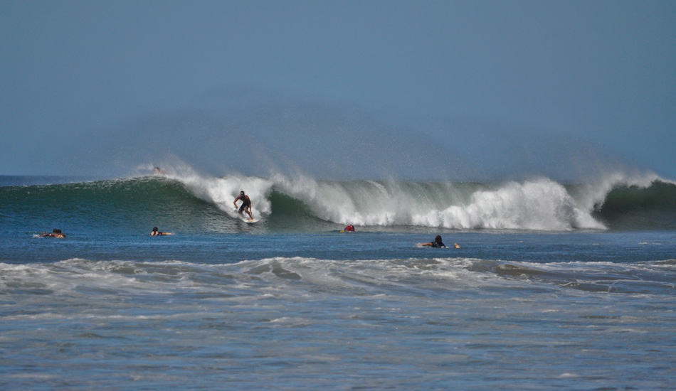 Groomed perfection. Photo: <a href=\"https://www.sambatothesea.com\">Kristen Brown</a>