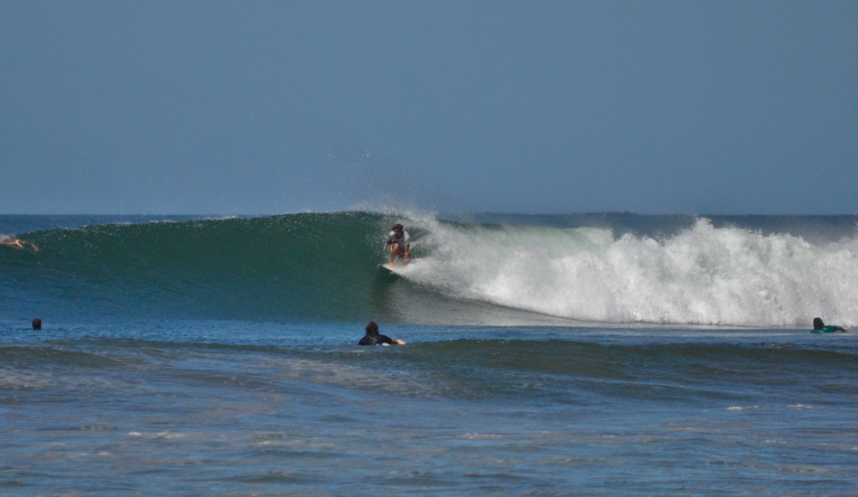 Turquoise gem. Photo: <a href=\"https://www.sambatothesea.com\">Kristen Brown</a>