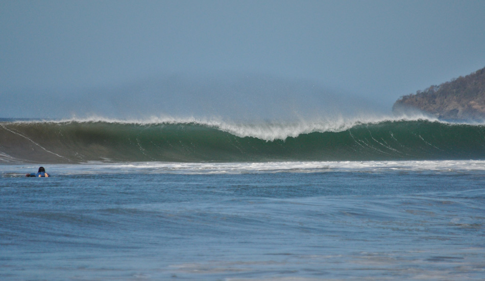 No takers. Photo: <a href=\"https://www.sambatothesea.com\">Kristen Brown</a>