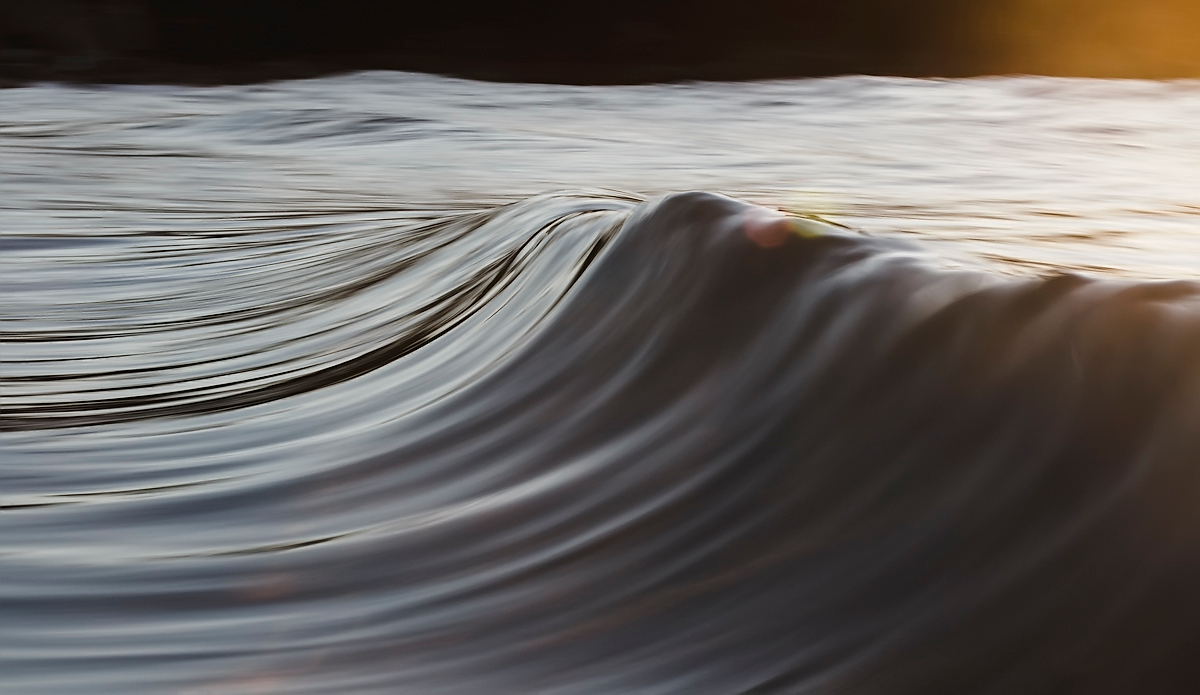 Photo: Kyle Jenkinson