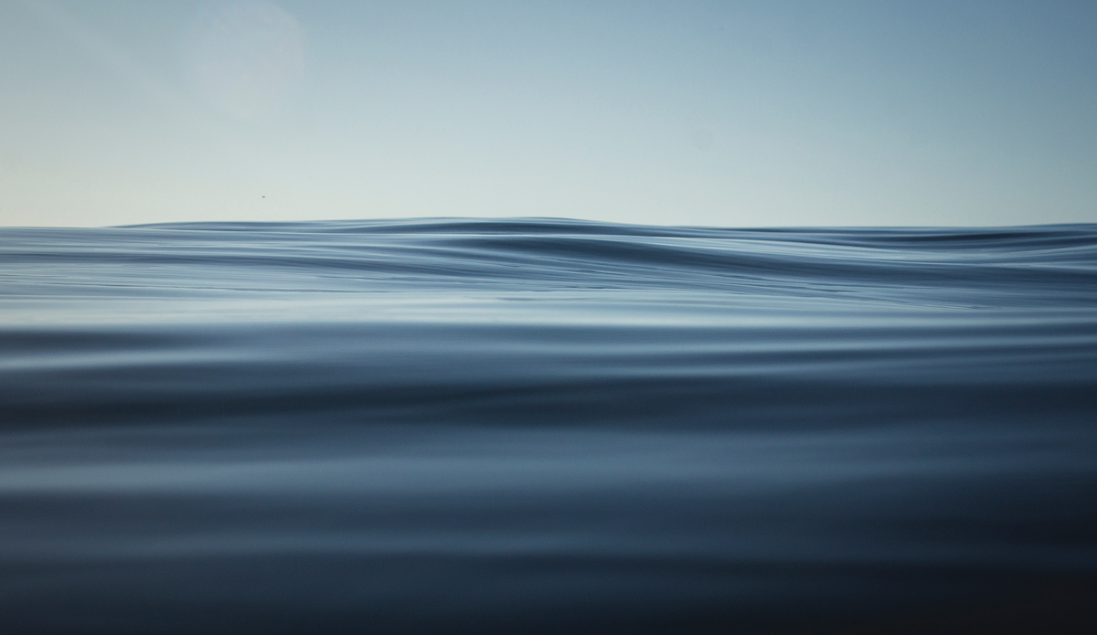 Photo: Kyle Jenkinson