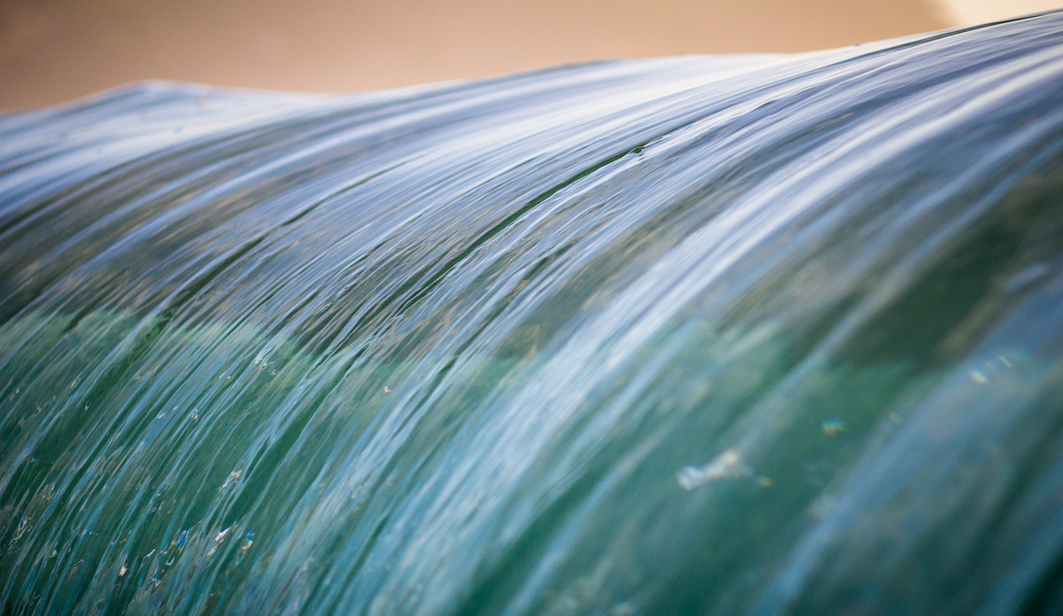 Photo: Kyle Jenkinson