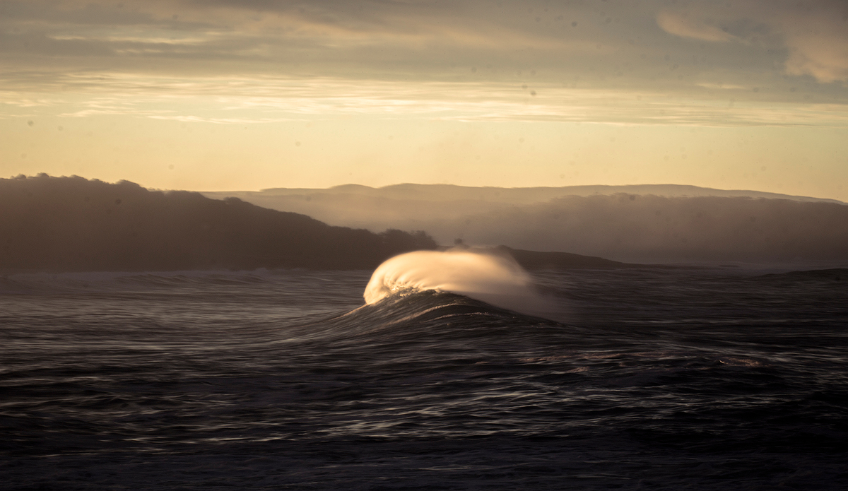 Photo: Kyle Jenkinson