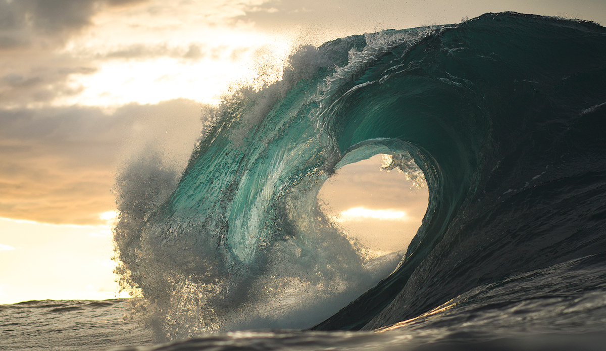 Photo: Kyle Jenkinson