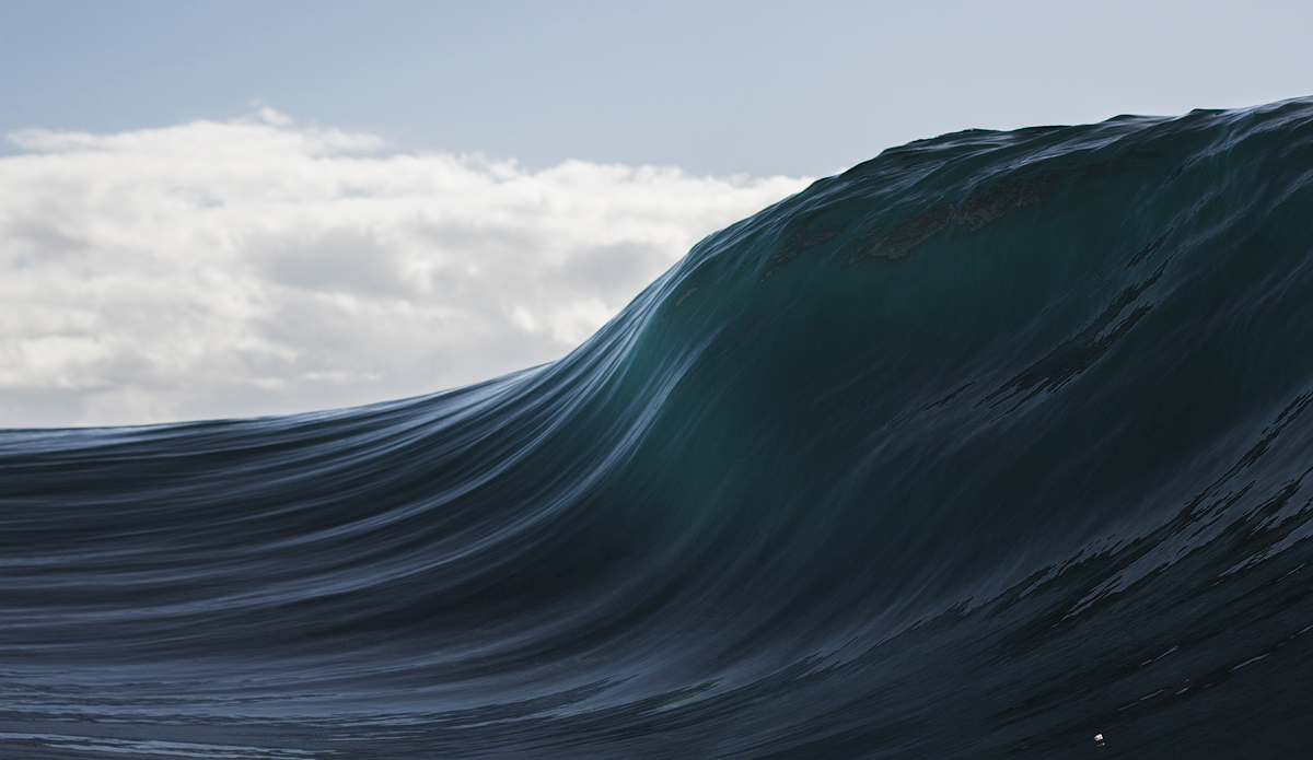 Photo: Kyle Jenkinson